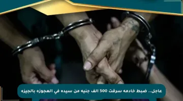 عاجل.. ضبط خادمة سرقت 500 ألف جنيه من سيدة في العجوزة بالجيزة